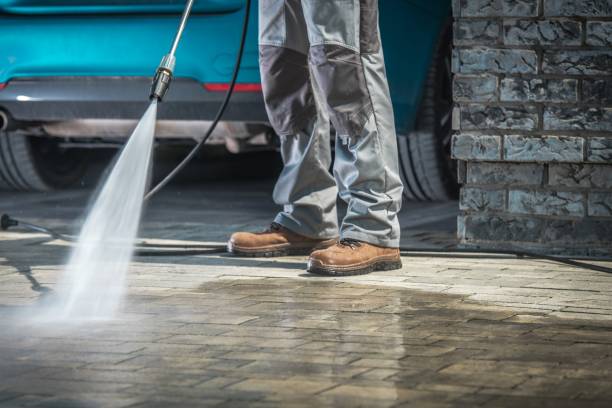 Best Rust Removal  in Lake City, MN