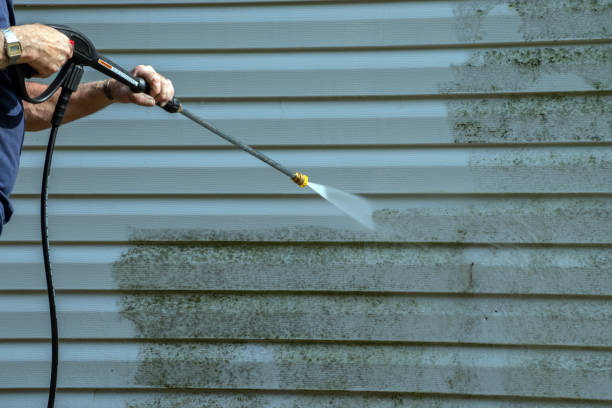 Animal Enclosure Cleaning in Lake City, MN