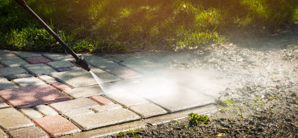 Best Sidewalk and Walkway Cleaning  in Lake City, MN